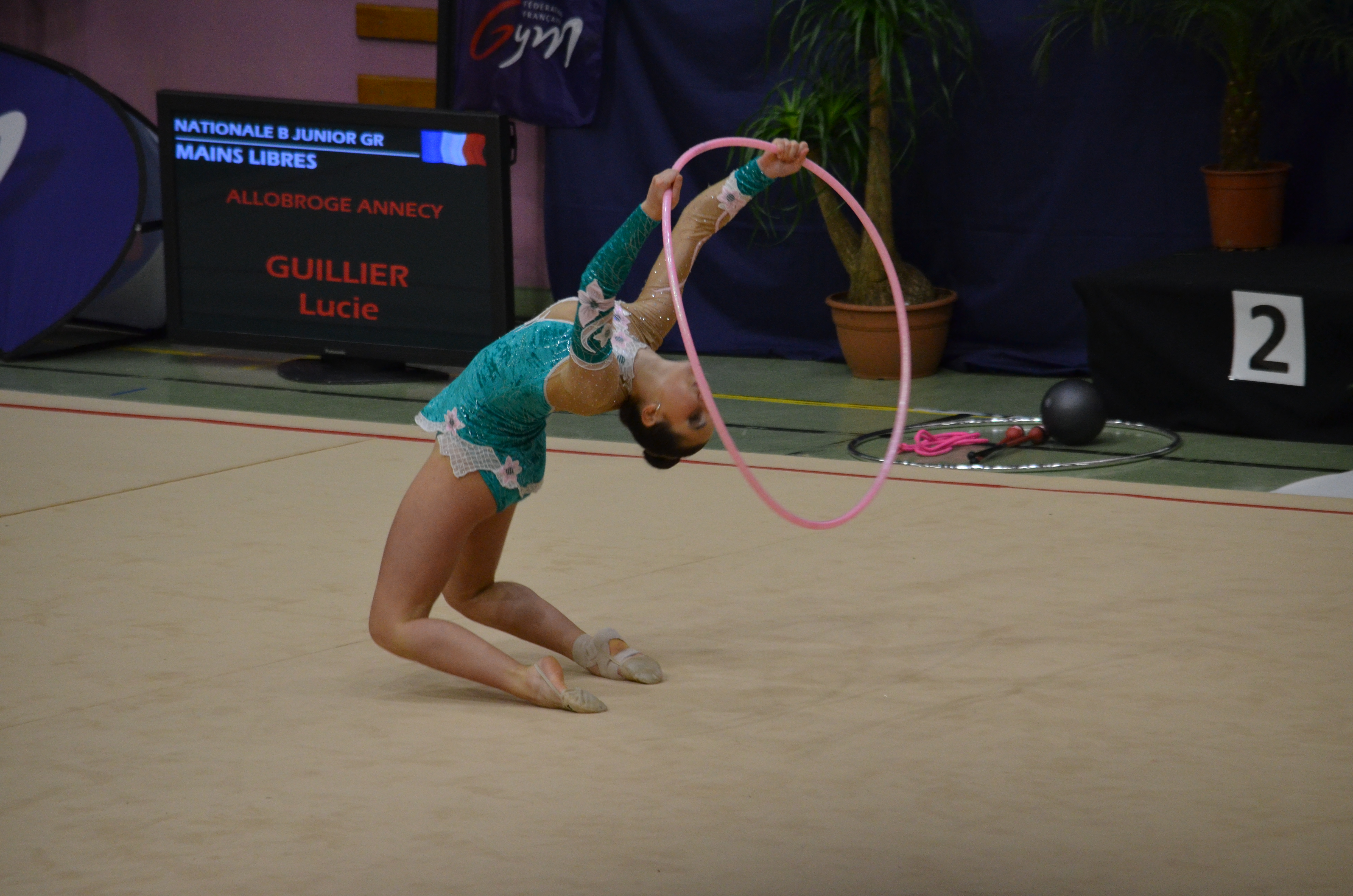 Gymnastique Rythmique_ Belle 9eme place pour Lucie GUILLIER au Championnat de France individuel le 24 janvier 2015 à  Pfastatt en Alsace.