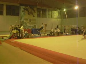video_indiv_gamgaf_310109_0001