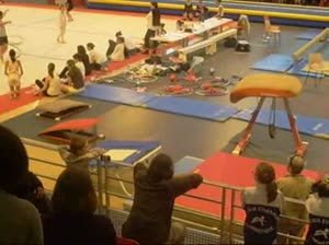 team_gym_demo_animagym_01052010